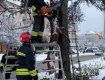 Ненастье поломало ветку в центре Ужгорода - дорогу освобождали спасатели 