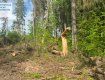 В Закарпатье хапуга-начальница дала добро на вырубку 2000 деревьев