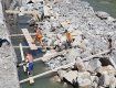 Значительный урон, который нанес паводок в Закарпатье ликвидируют до сих пор