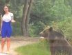 В соседней с Закарпатьем Румынии медведи нападают на людей