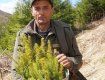 Один миллион саженцев: в горах Закарпатья восстанавливают лес