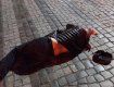 В Ужгороде пьяного мужика избили до потери сознания 