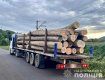 В Закарпатье выловили грузовик с нелегальным лесом - конфисковали вместе с грузом