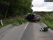 ДТП в Словакии: Большое дерево едва не похоронило в авто двоих человек