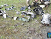 Появилось фото обломков крылатой ракеты, которой атаковали Закарпатье 