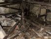 Плесень и крысы: Соцсети шокированы состоянием бомбоубежища в центре Ужгорода