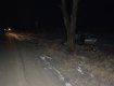 ДТП на Закарпатье: Один парень погиб, трое травмированы