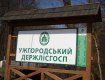 Працівники Ужгородського лісгоспу долучилися масового суботника