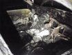 В Ужгороде полностью сгорел автомобиль чиновницы горсовета