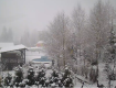 В Закарпатье пришла зима?: В Карпатах в новогоднюю ночь выпал долгожданный снег