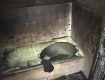 В Закарпатье человек остался без крыши над головой из-за курения: Опубликованы жуткие кадры 
