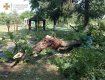 В Закарпатті вчорашня негода наробила купу лиха: Постраждали десятки сіл