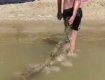 В сети показали полчища медуз на Азовском море: Местные жители и туристы взялись за уборку пляжей