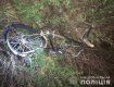 Авария в Закарпатье: Hyundai Santa FE сбил велосипедиста 