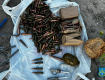 В Ужгороде могут отпустить под залог торговца оружием