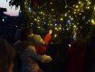 Новогодняя зеленая красавица номер один в Ужгороде засияла огнями