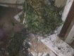 У жителя Ужгорода обнаружили в доме наркотики