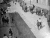 Міжвоєнний Хуст, коли вулицями їздили автівки Опель та гуляли слони
