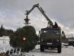 Ужгород украсит 85-летняя новогодняя елка