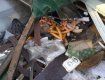 Бульдозеры раастрощили без уведомления 20 МАФов в Киеве