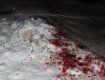 Возле Житомира львовские бандиты расстреляли толпу местных криминалитетов
