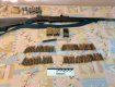  Атипичное огнестрельное оружие прятал дома житель Закарпатья 
