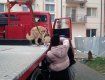 В Ужгороде спасли застрявшую на крыше собаку