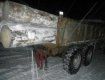 Закарпатская полиция задержала грузовик кругляка без документов