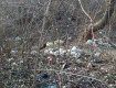 В Закарпатье снег растаял, а русло и берег Ужа остался с мусором