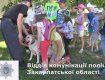 Полицейские помогают детям побороть страх перед собаками