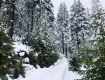 На вершине гор в Закарпатье царствует настоящая зима 