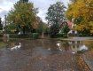 В центре Ужгорода после дождя образовалось озеро