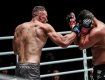Украинский боец смешанных единоборств Роман Крыкля стал чемпионом в полутяжелом весе по MMA