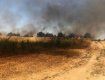 Масштабный пожар в Закарпатье: горело восемь гектаров травы 