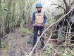 Опасные находки в лесу обнаружили жители Закарпатья