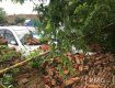 Стіна, що впала у Мукачеві, потрощила 5 автомобілів