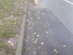 Печальная картина: В Ужгороде на многострадальной улице асфальт рушится еще до начала зимы 