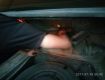 Українець "заправив" бак свого автомобіля сигаретами