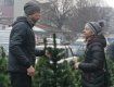 Недобросовісних продавців ялинок виявляли на «П’яному базарі» в Ужгороді