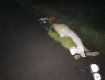 В Закарпатье столкнулись два "Опеля": Погиб водитель, женщина в реанимации
