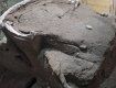 Уникальная находка археологов: В Помпеях обнаружили свадебную колесницу невесты I века