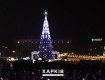 В этом году самая дорогая елка Украины в Днепре: Киев даже не в ТОП-3