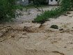 В Закарпатье река уносит под воду целое село 
