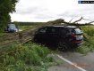 ДТП в Словакии: Большое дерево едва не похоронило в авто двоих человек