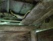  В Закарпатті дві чималі змії пробралися в будинок місцевого мешканця 