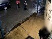 Опасно ходить по улицам: В областном центре Закарпатья грабители проследили за женщиной, и ограбили 