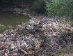 Реки Закарпатья тонут в мусоре!: Спасатели с водолазами расчищают мусорный затор