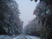 Первый снег сезона выпал в высокогорных районах соседней с Закарпатьем Венгрии