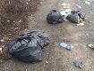 В Закарпатье на дороге образовался "мусорный хаос" 