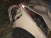 Авария в Закарпатье: Наркоман на Nissan протаранил дерево, передок всмятку 